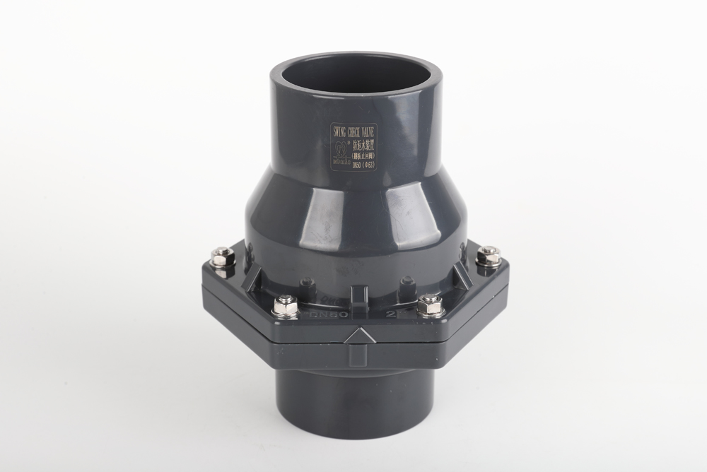 黎母山镇翻板式止回阀